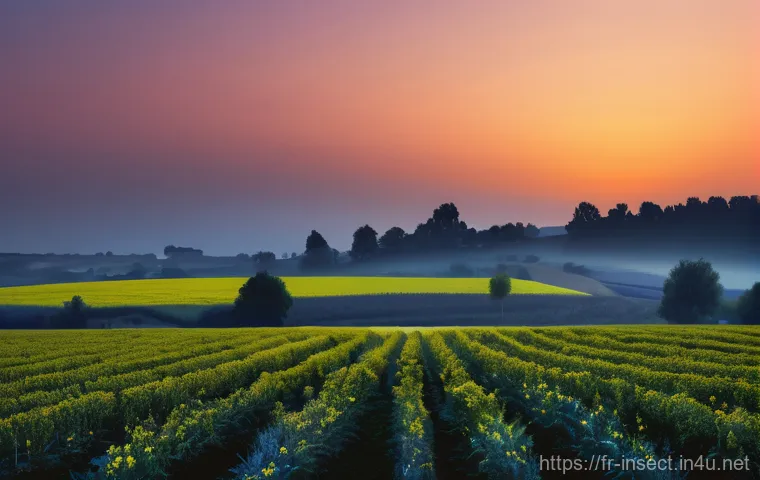 곤충 서식지 및 기후 변화 연구 - **Night's Disruption:** A twilight scene in a rural French setting, depicting the impact of human ac...