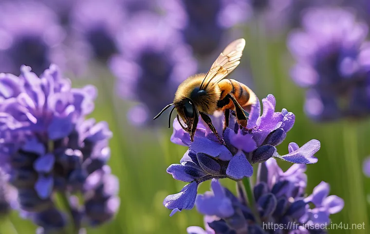 곤충의 시각적 커뮤니케이션 - **The Hidden Spectrum of a Lavender Field**
    A close-up, macro view of a vibrant lavender field u...