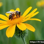 곤충 생태 체험 프로그램 - A vibrant close-up scene in a French wildflower meadow during late afternoon, showcasing a domestic ...
