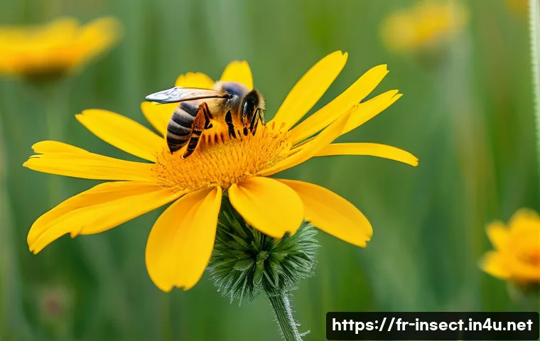 곤충 생태 체험 프로그램 - A vibrant close-up scene in a French wildflower meadow during late afternoon, showcasing a domestic ...
